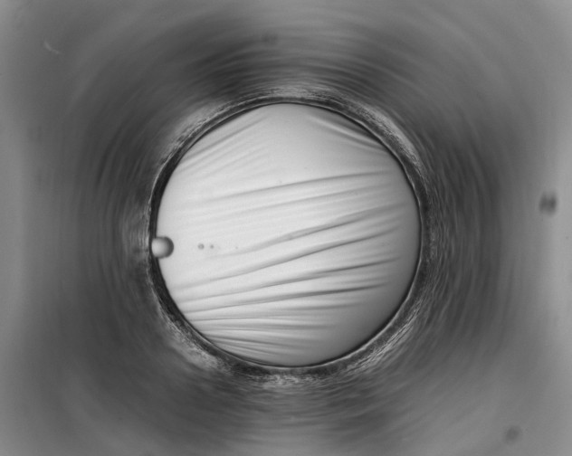 X0000099460938200805301531