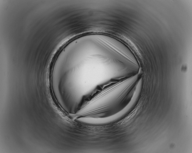 X0000099460939200805301531