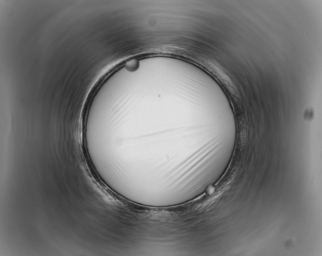 X0000099460940200805301531