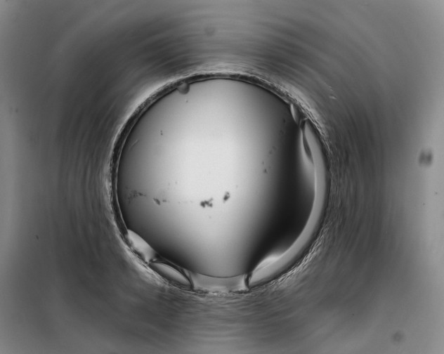 X0000099460942200805301531