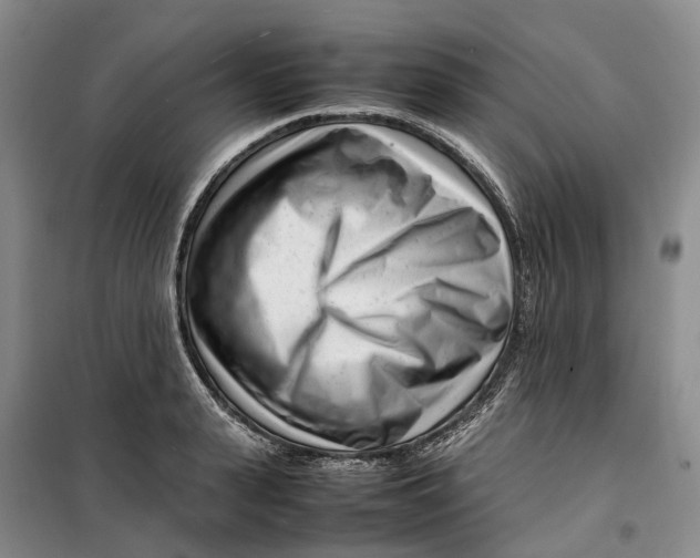 X0000099460943200805301531