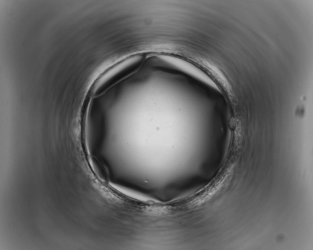 X0000099460944200805301531