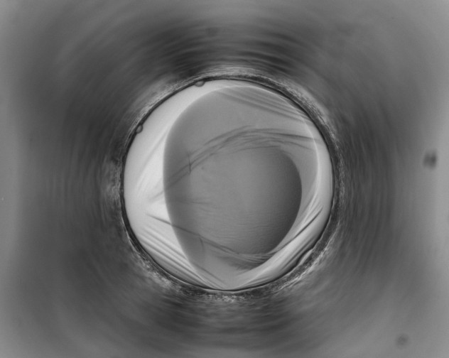 X0000099460945200805301531