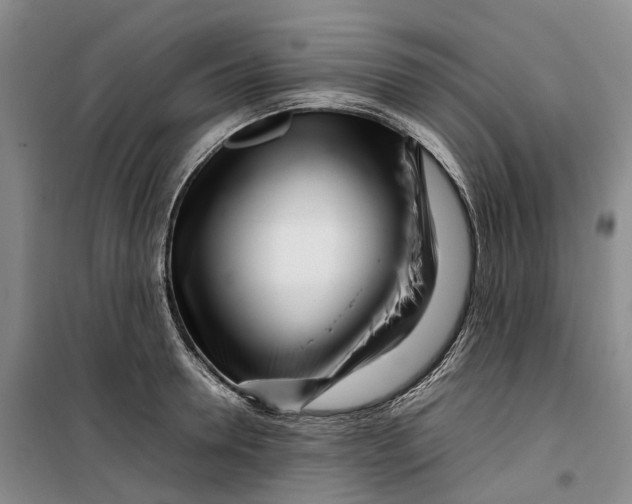 X0000099460946200805301531