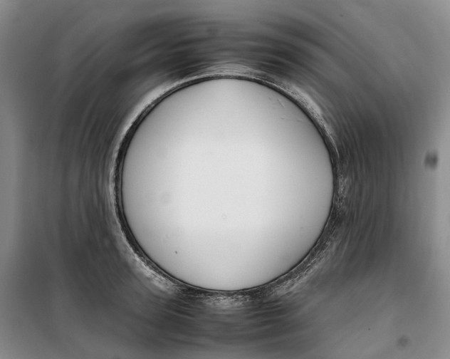 X0000099460947200805301531