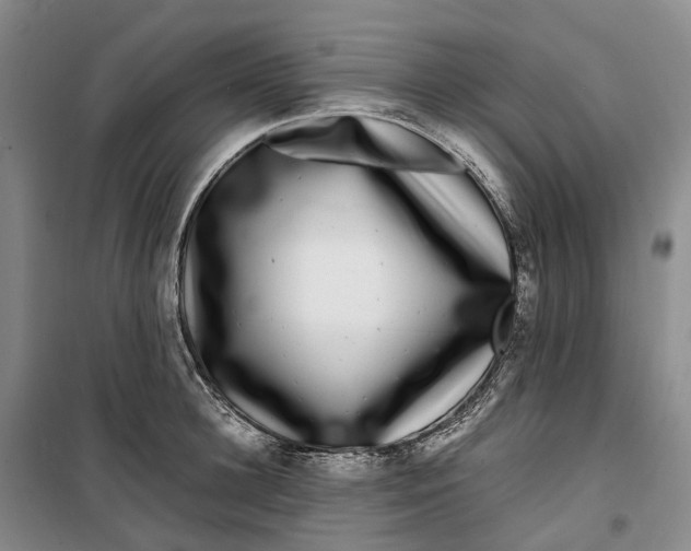 X0000099460948200805301531