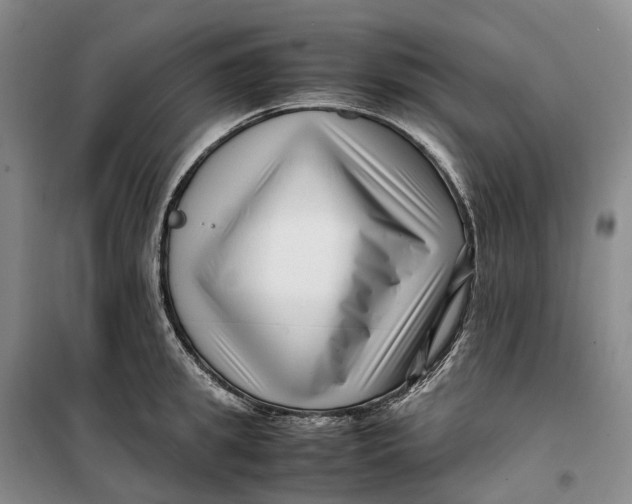 X0000099460949200805301531