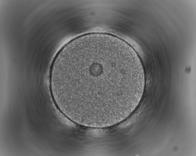 X0000099460950200805301531