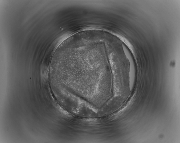 X0000099460953200805301531