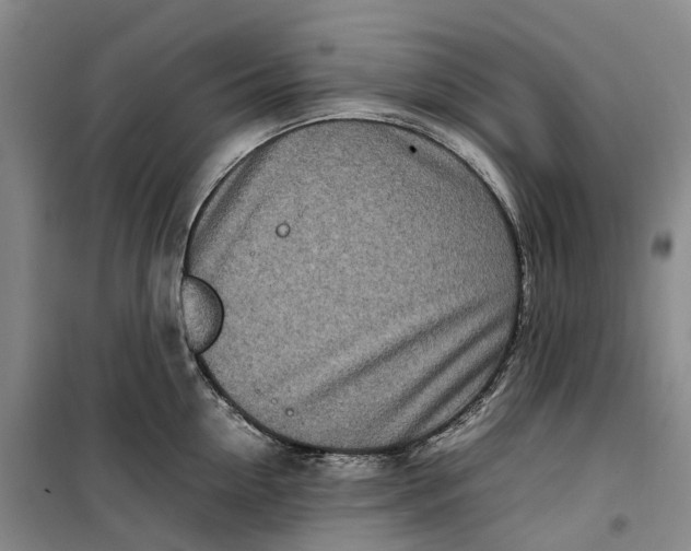 X0000099460954200805301531