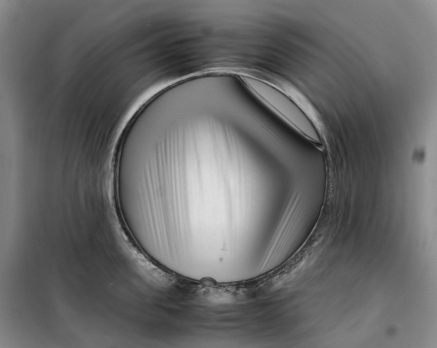 X0000099460955200805301531