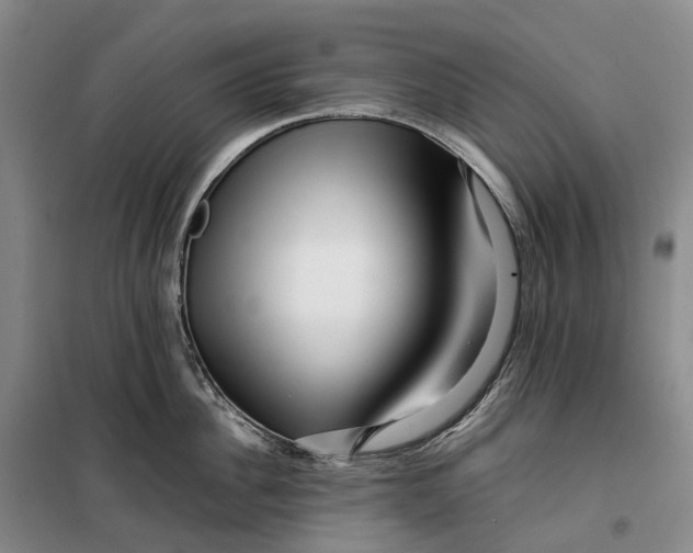 X0000099460956200805301531