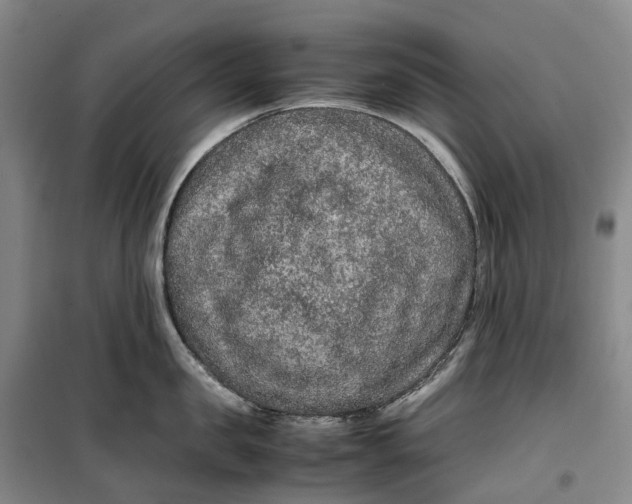 X0000099460957200805301531