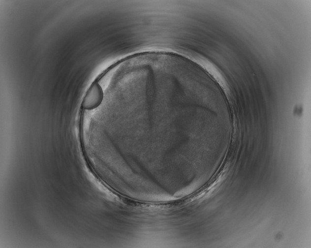 X0000099460958200805301532