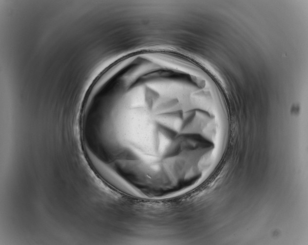 X0000099460959200805301532