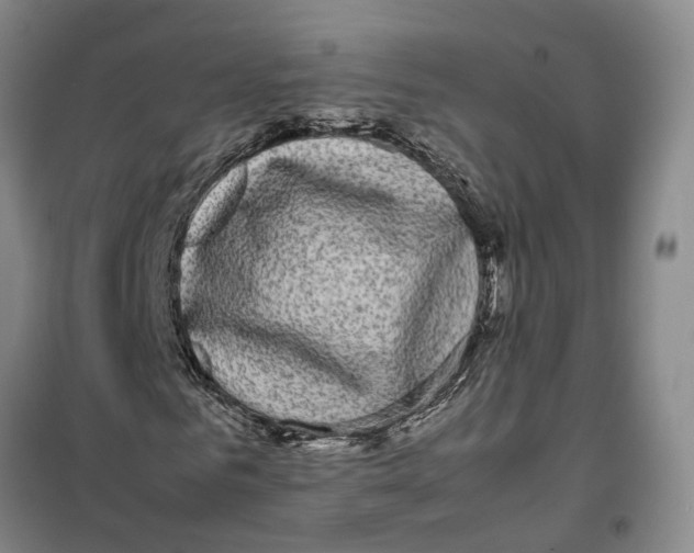 X0000099460961200805301531