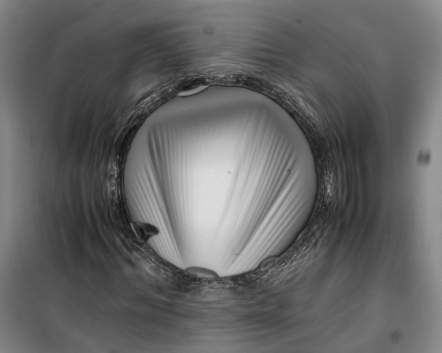 X0000099460964200805301531