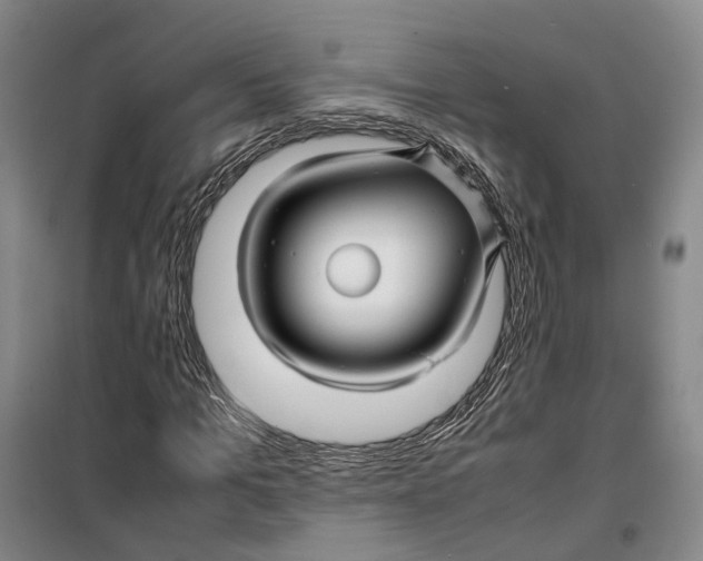 X0000099460965200805301531