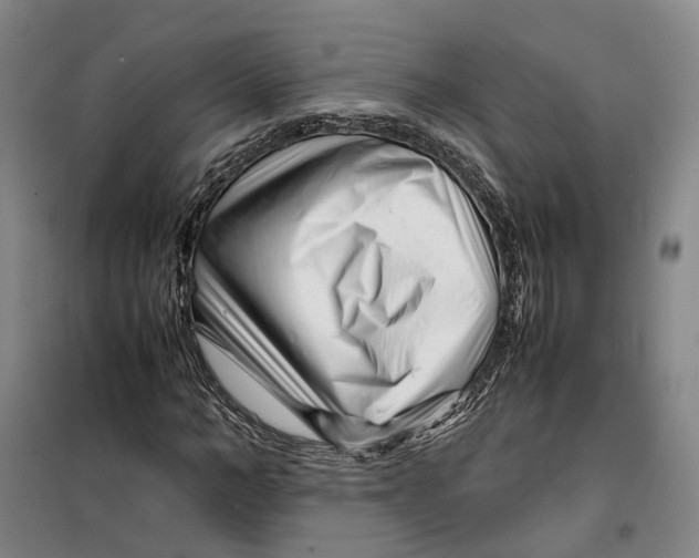 X0000099460966200805301531