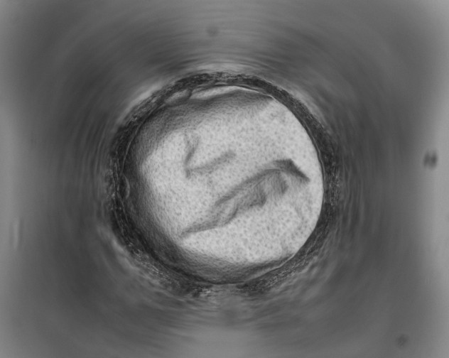 X0000099460967200805301531