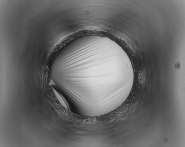 X0000099460968200805301531