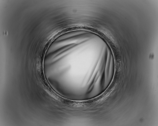 X0000099460969200805301531