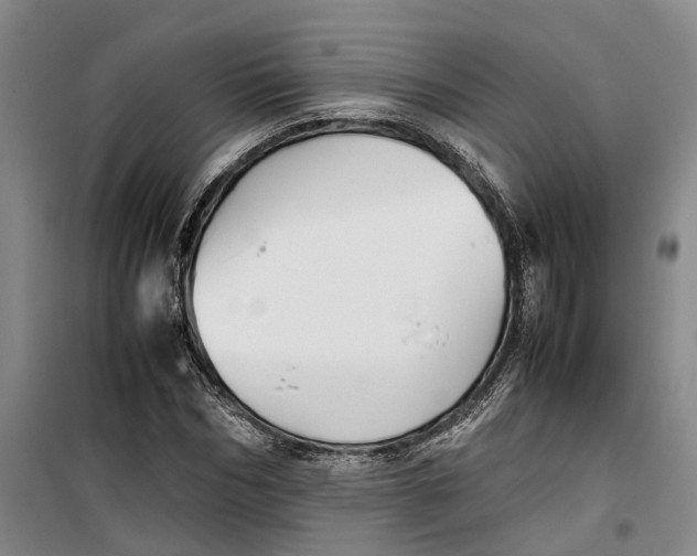 X0000099460970200805301531