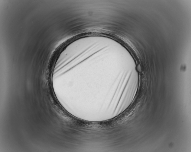 X0000099460971200805301531