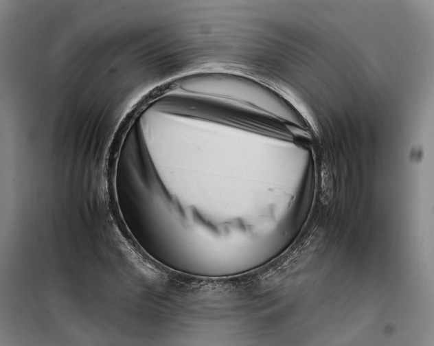 X0000099460972200805301531