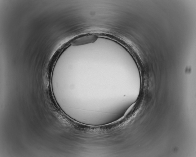 X0000099460973200805301531