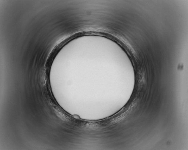 X0000099460974200805301531