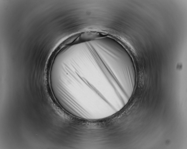 X0000099460976200805301531