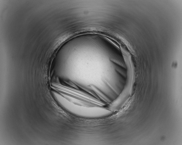 X0000099460977200805301531