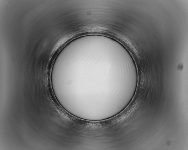 X0000099460978200805301531