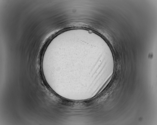 X0000099460979200805301531