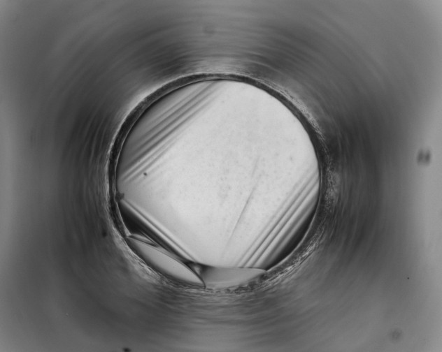 X0000099460980200805301531