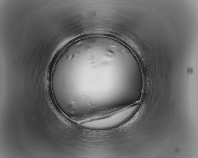 X0000099460981200805301531