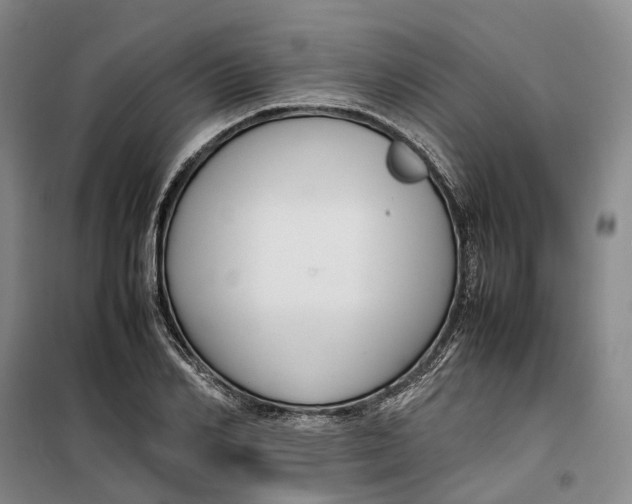 X0000099460982200805301531