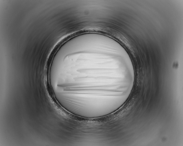 X0000099460984200805301531