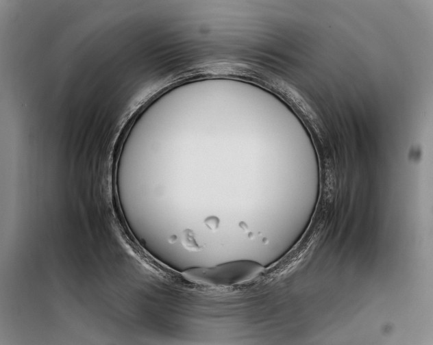 X0000099460986200805301531