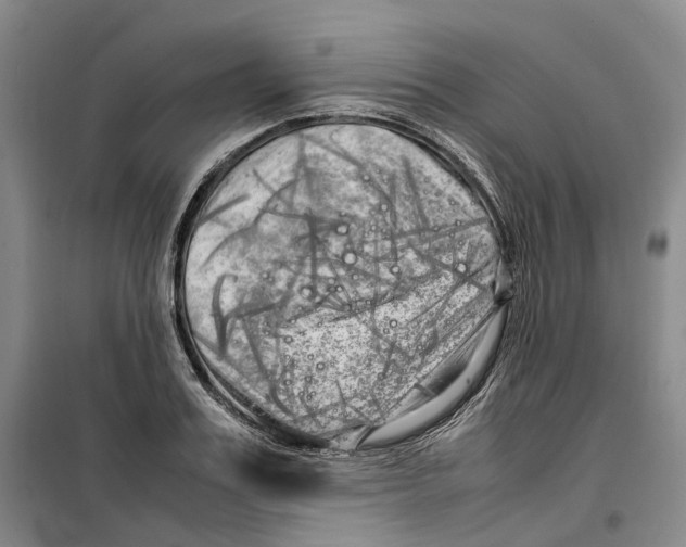 X0000099460987200805301531