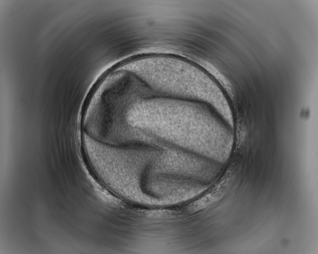 X0000099460988200805301530