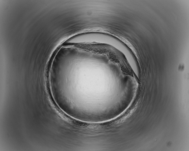 X0000099460989200805301530