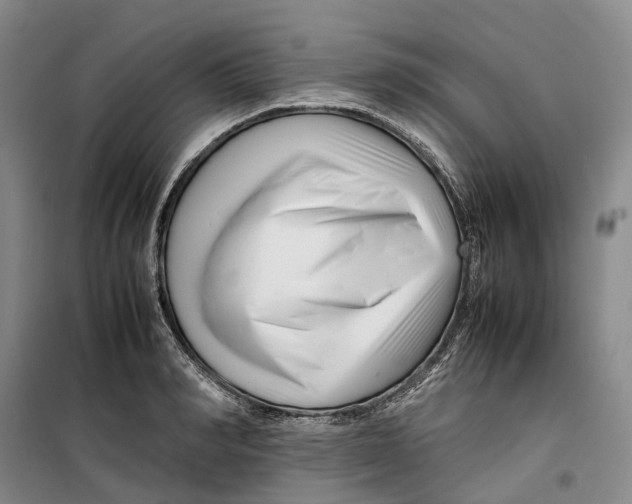 X0000099460990200805301530