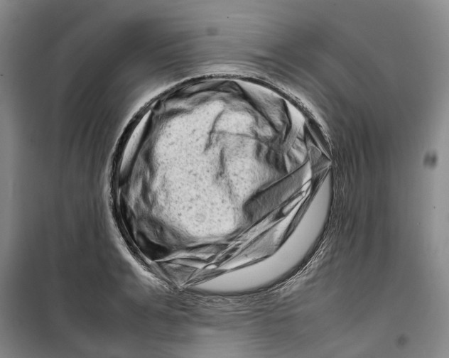 X0000099460991200805301530