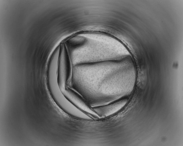 X0000099460992200805301530