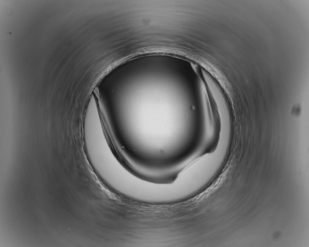 X0000099460993200805301530