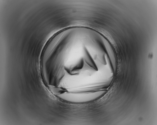 X0000099460996200805301530