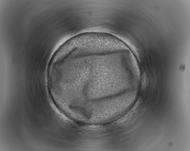 X0000099460998200805301530