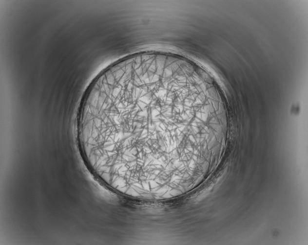 X0000099460999200805301530